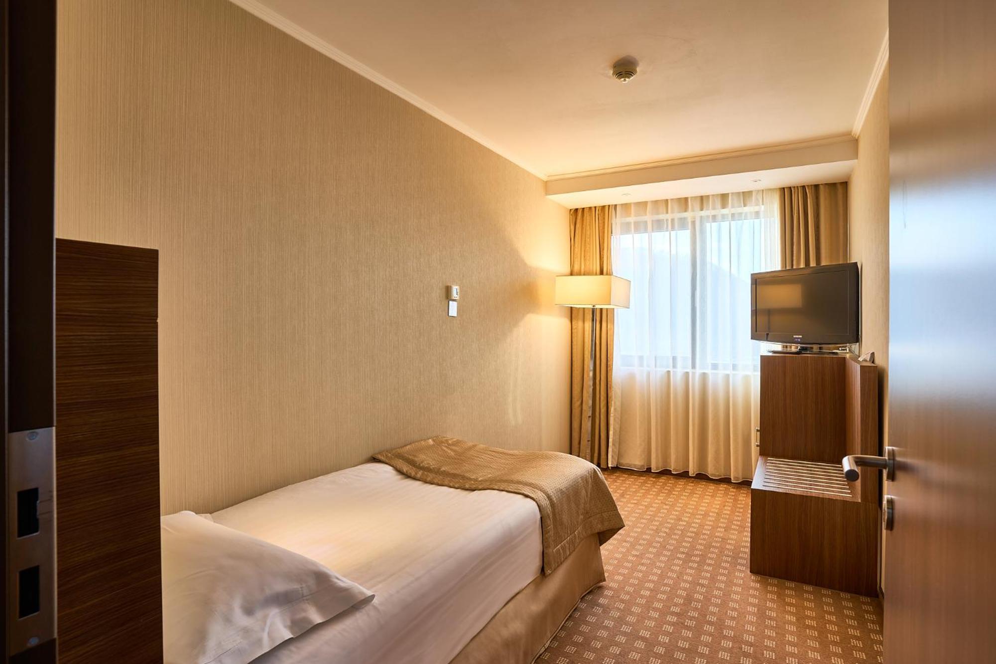 Central Plaza Hotel Piatra Neamţ Dış mekan fotoğraf